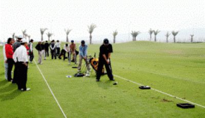 DO SON GOLF